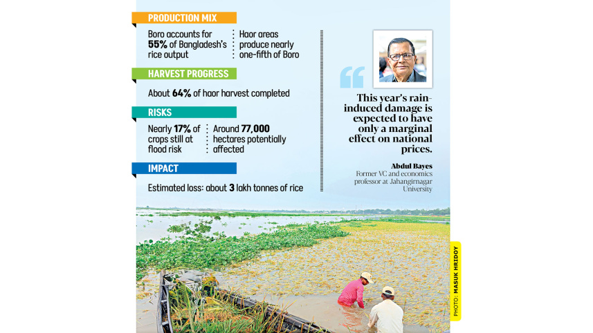Haor flood impact on Bangladesh rice production 2026