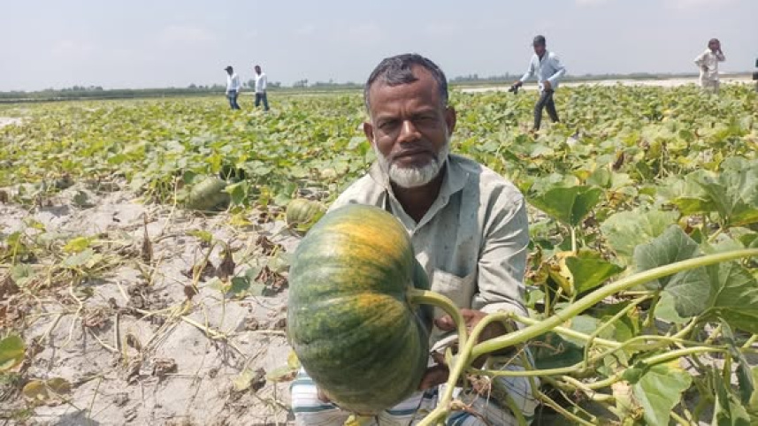 Rangpur Char Farmers Pumpkin Farming