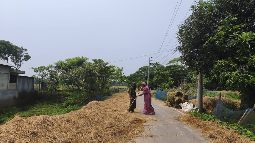  There has been a sharp rise in the prices of cattle feed following the recent flood. Photo: Star