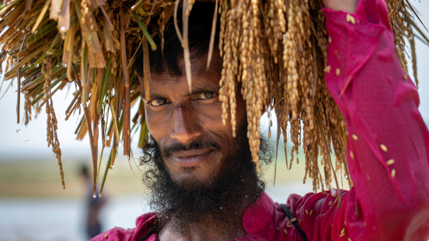 Haor crisis is becoming a national crisis