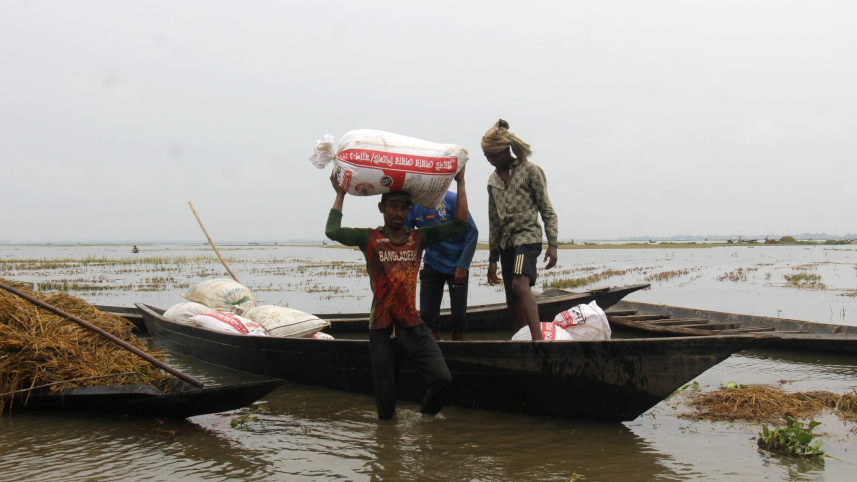 tea workers help farmers harvest paddy in haor areas