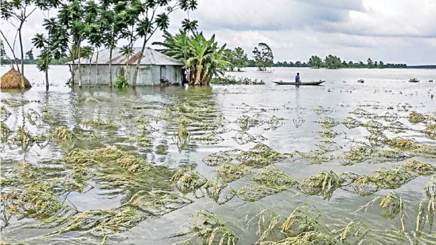 NETROKONA.jpg