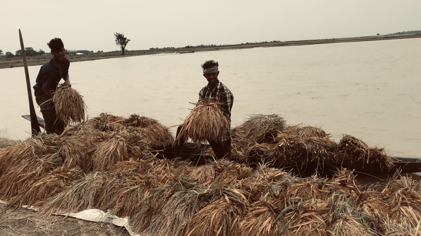 Haor Crisis
