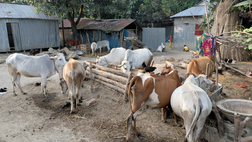 eid_ul_azha.jpg