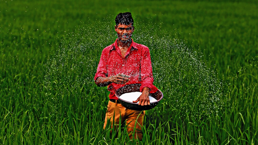 fertiliser.jpg