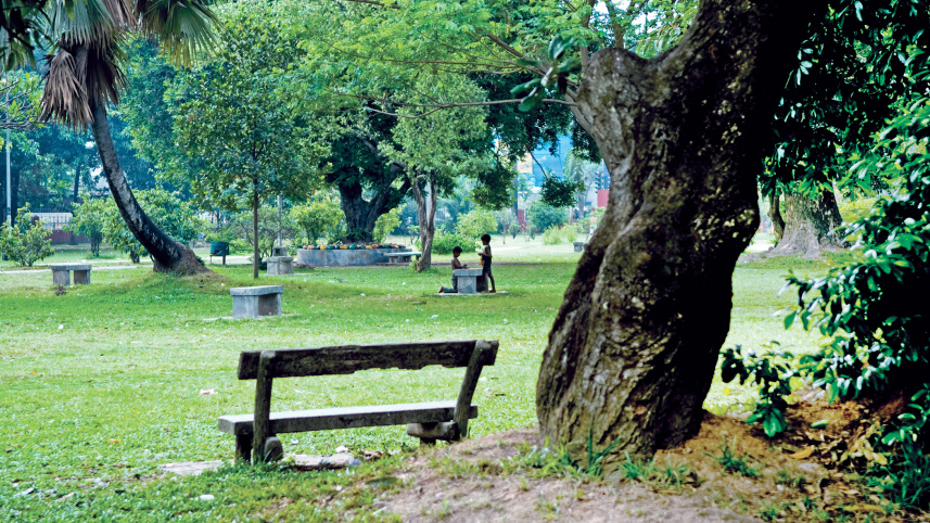 my-dhaka.jpg