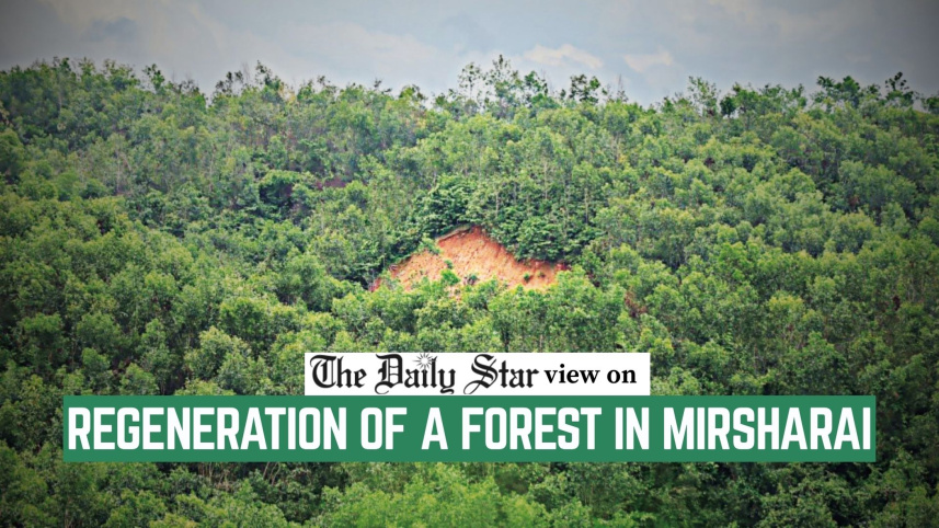 EDITORIAL_2__Regeneration_of_a_forest_in_Mirsarai.jpg