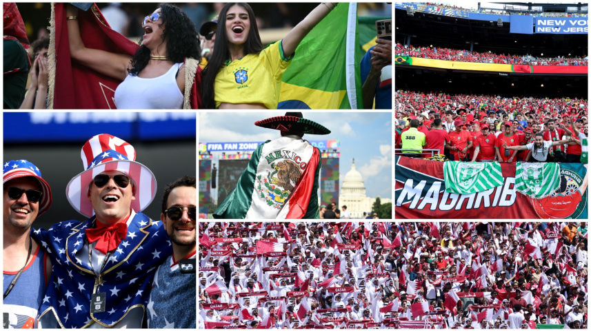 Fans collage.jpg