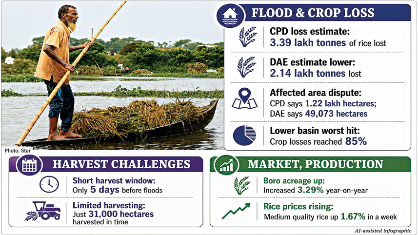 Bangladesh haor flood damage | Haor Boro rice loss