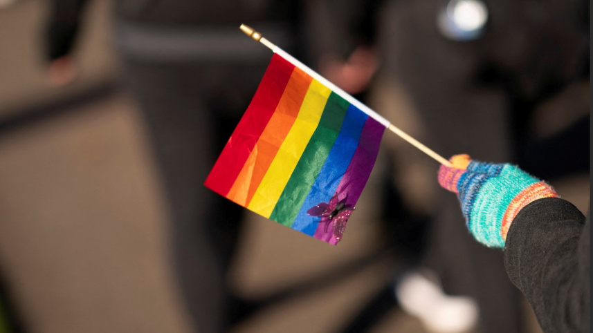 Rainbow flags.jpg