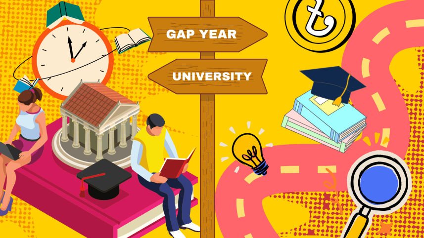 Gap year.png