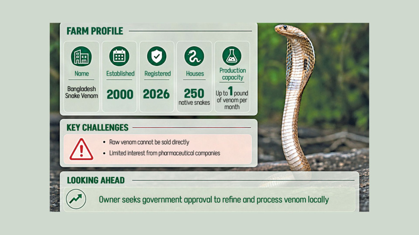 Snake farm.jpg