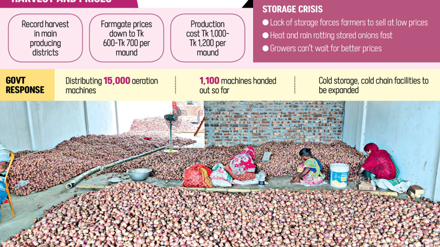 Record Onion Production Bangladesh 2026