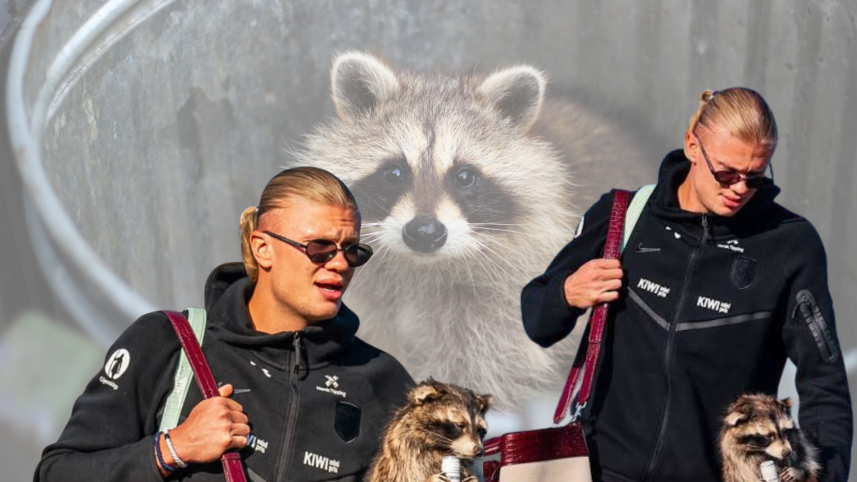 Why Erling Haaland brought a stuffed raccoon home from Texas