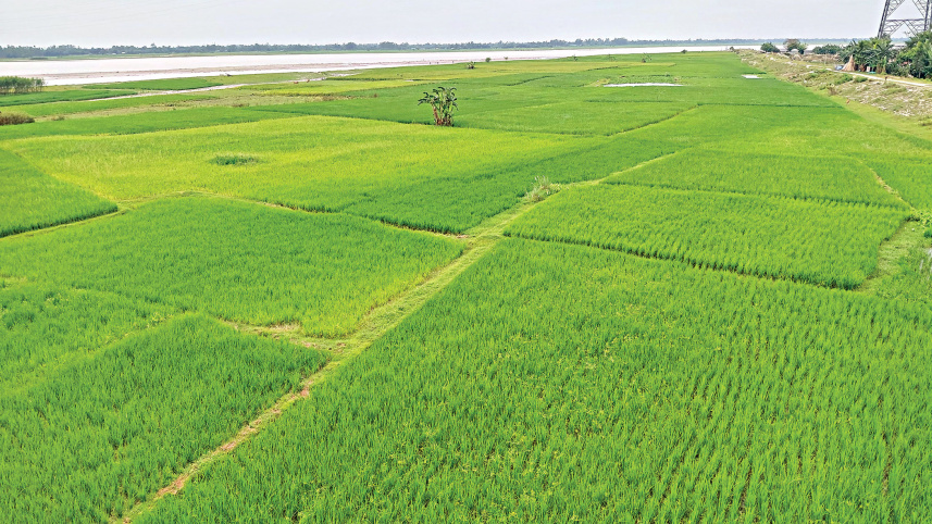 Char-Mohipur.jpg