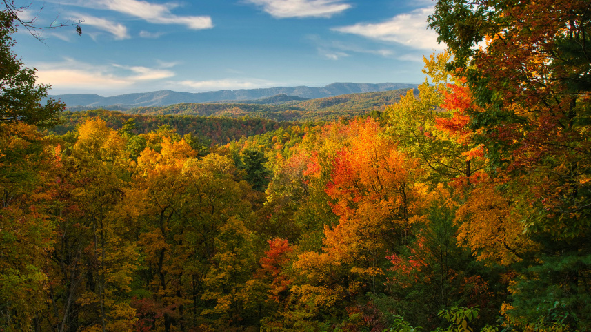 In Delaware’s autumn, I remember Dhaka’s winter
