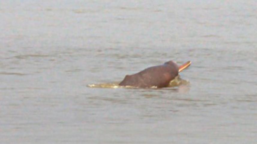2011-11-01__f05.jpg