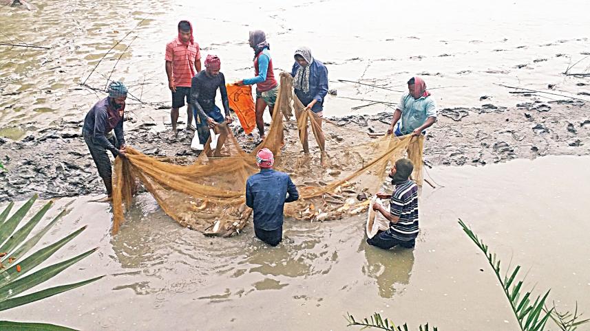 prawn-farmers-1.jpg