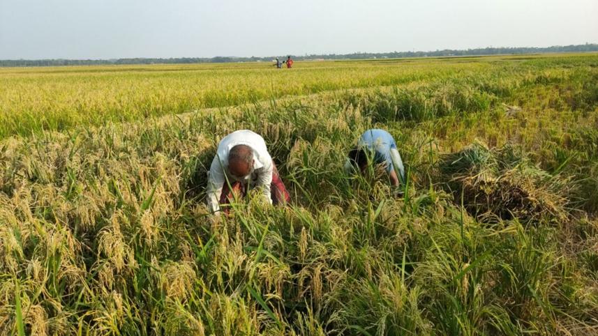 our-farmers.jpg