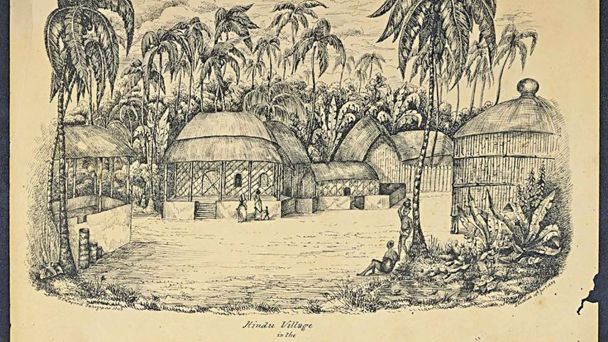 the-sundarban-plan.jpg