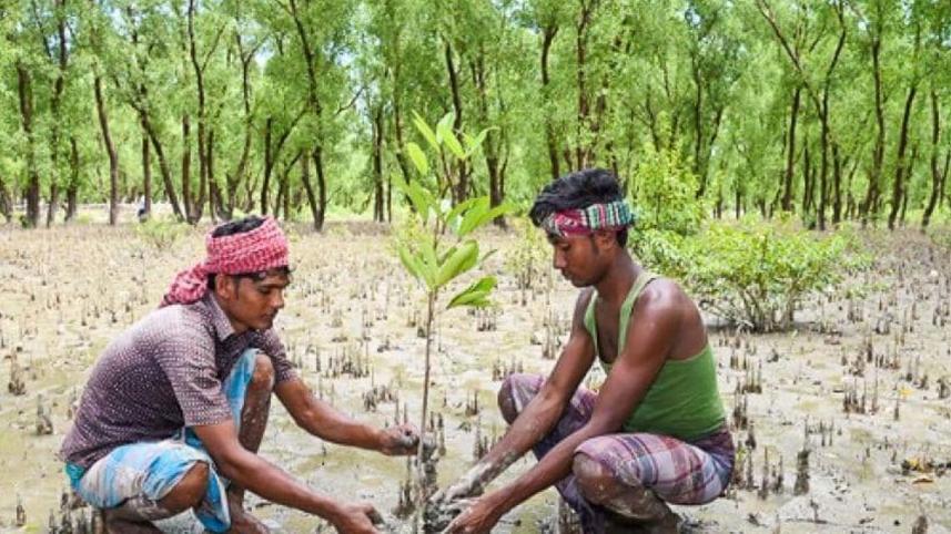 Bangladesh-lead-climate-resilience.jpg