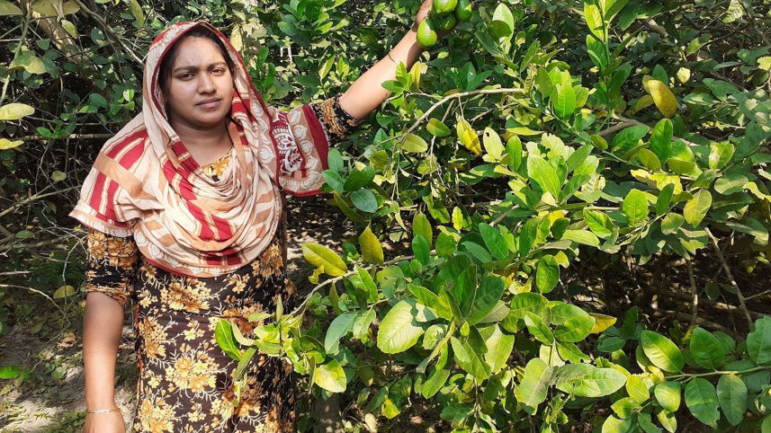 Lemon-grower-succeeds.jpg