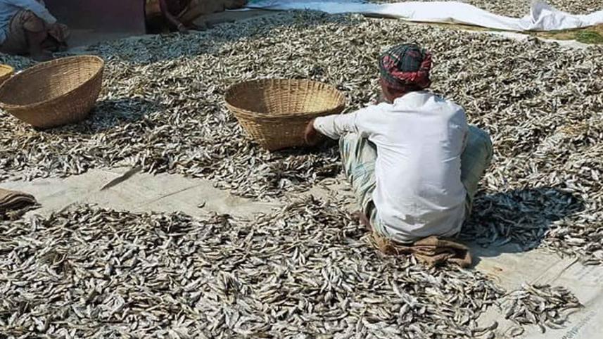 dry-fish.jpg