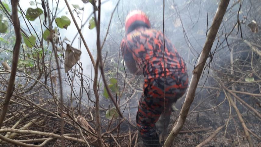 Fire-sundarbans.jpg