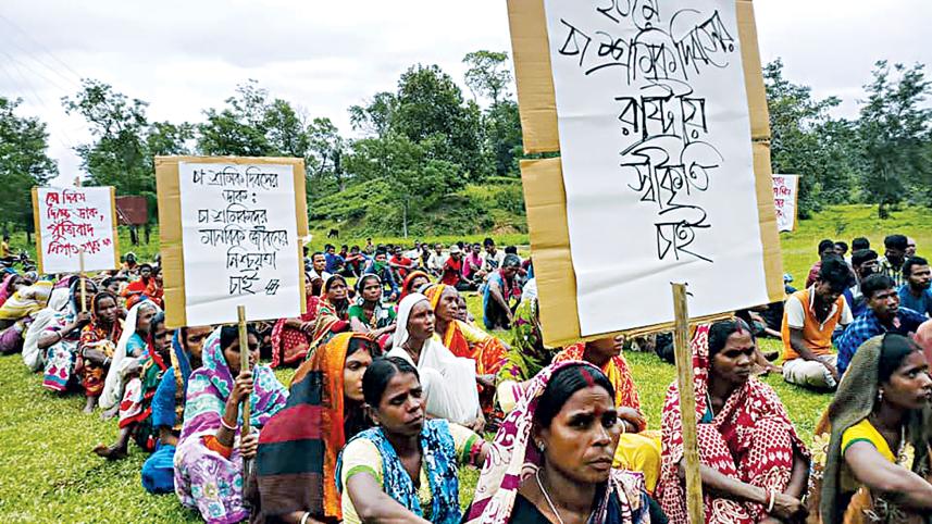 Tea-Workers.jpg