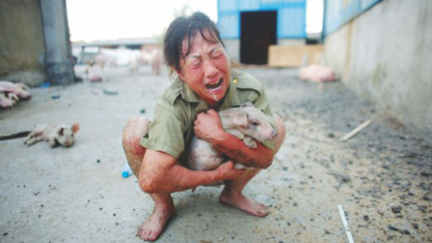 87.jpg
