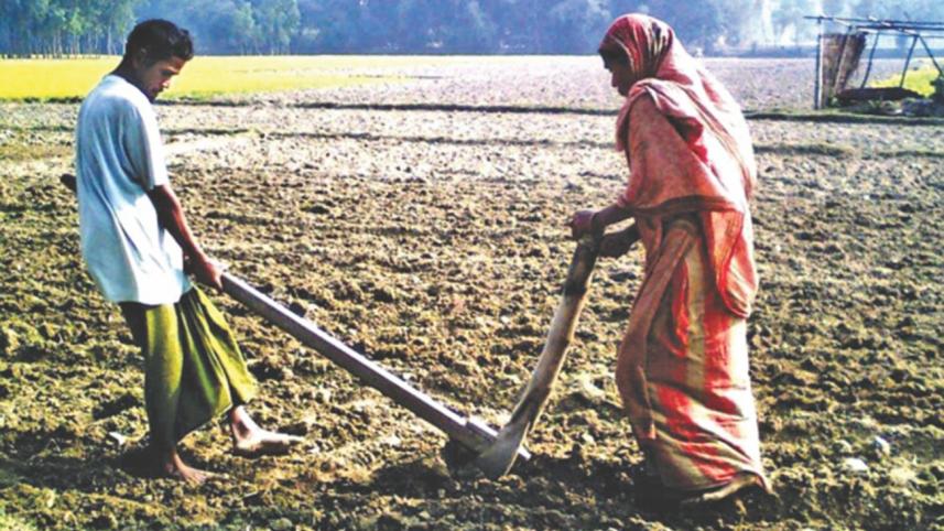 Agriculture