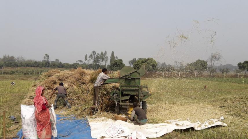 agriculture.jpg