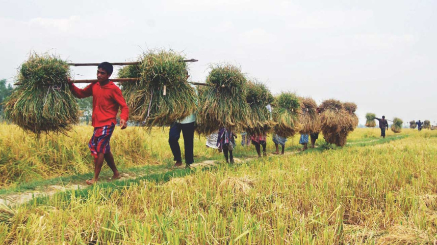 Agriculture