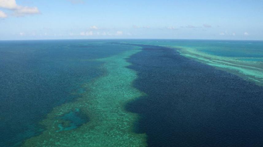 First climate change extinction
