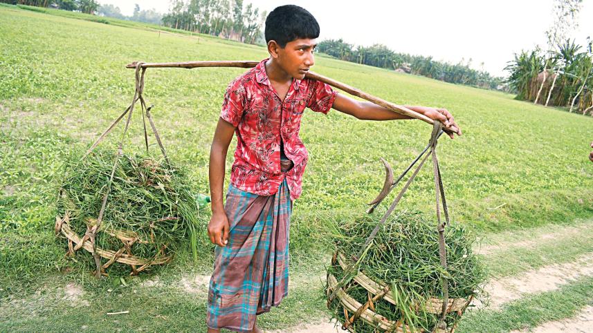 Bagura.jpg