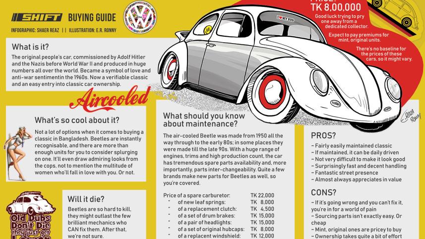 Beetle-Buying-Guide.jpg