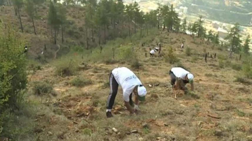 bhutan-WB.jpg