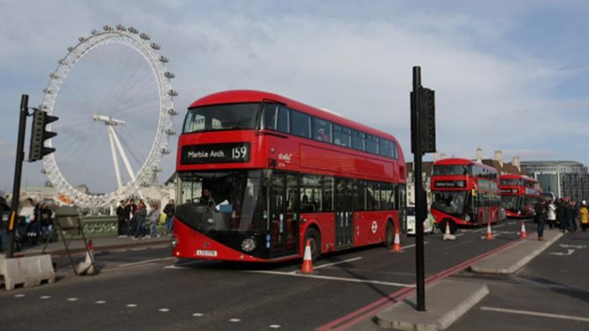 bus