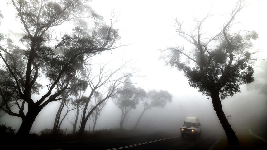 Bushfire.jpg