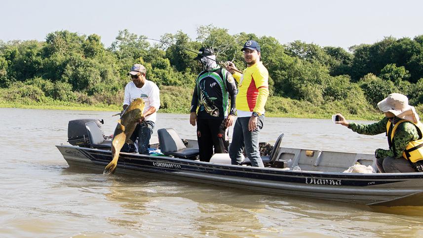 Catching-a-big-catfish.jpg
