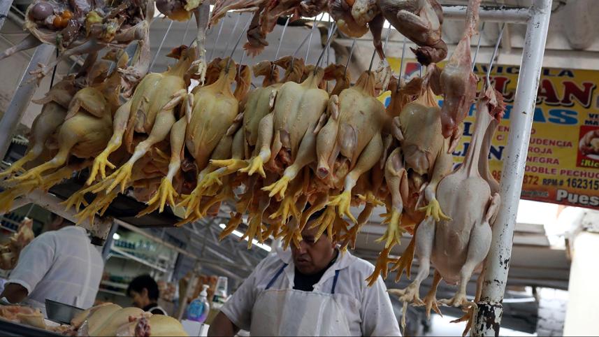 Chicken-wb.jpg