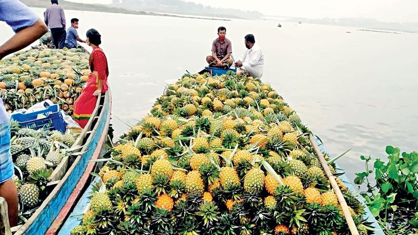 CHT-fruit-growers.jpg