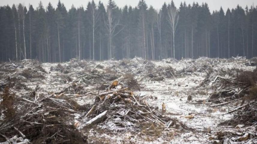 Climate-wb.jpg