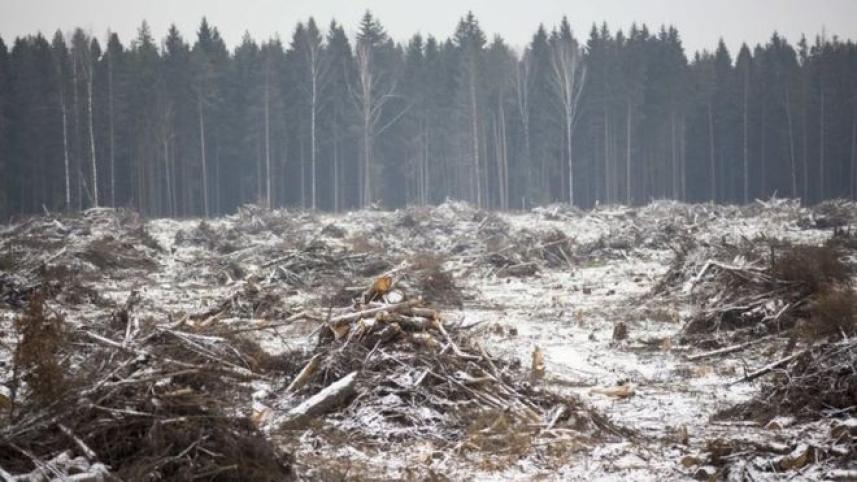 cop 21.jpg