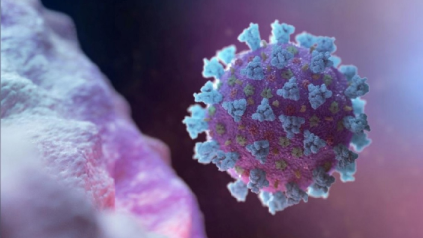 coronavirus covid-19