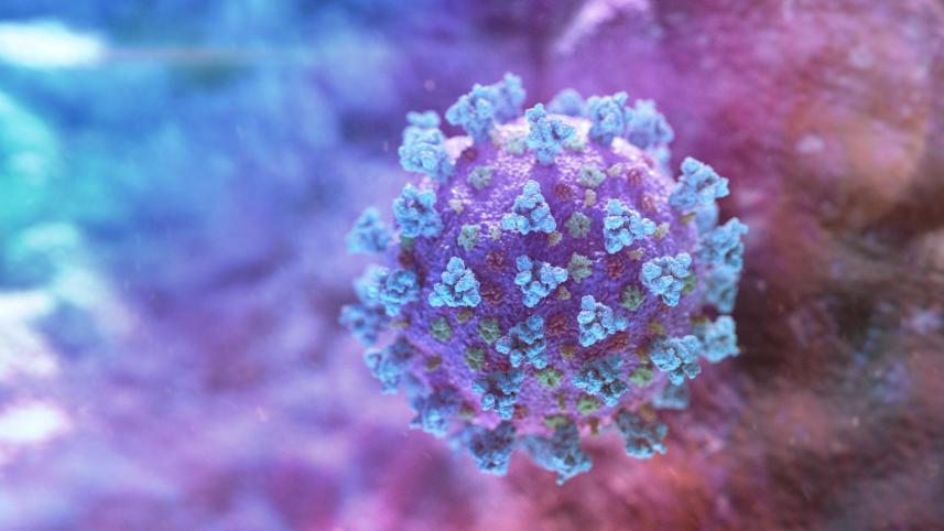 coronavirus covid19