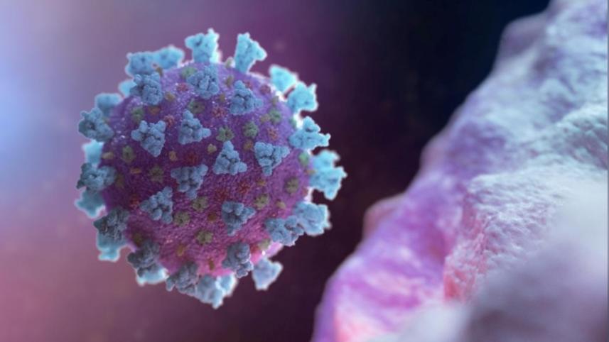 Coronavirus Update