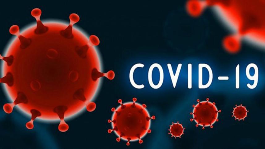 covid-19--new-large.jpg