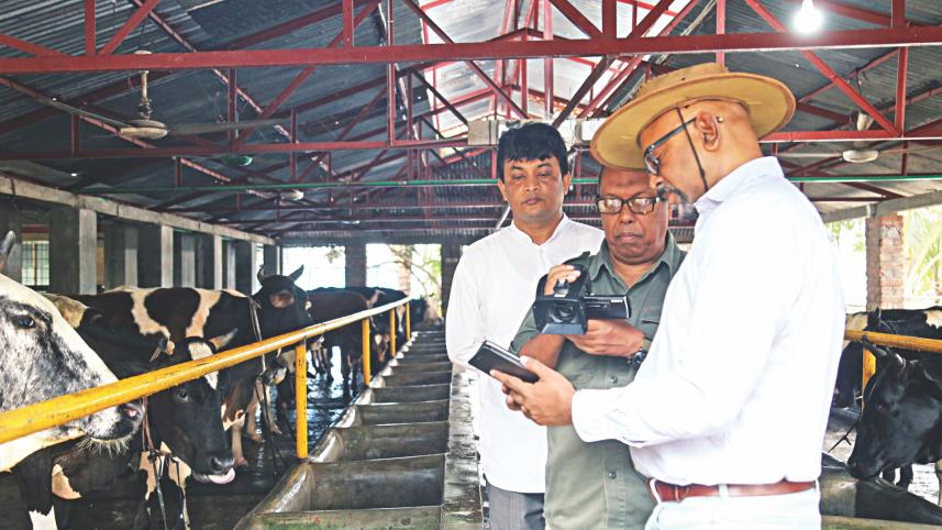 cow management.jpg
