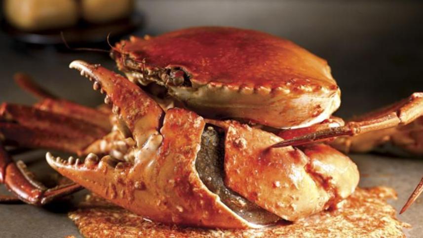 crab.jpg